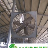 牛圈牛舍風(fēng)機(jī),無錫牛舍風(fēng)機(jī),潤江溫控設(shè)備