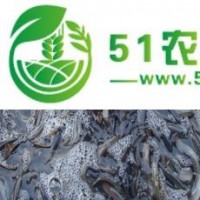 養(yǎng)殖泥鰍一畝要投資價格，泥鰍苗的價格