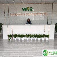 保定*黑魚的養(yǎng)殖技術
