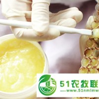 彰武縣蜂王漿銷(xiāo)售，彰武縣蜂王漿價(jià)格