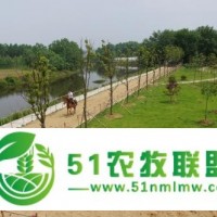 商河縣生態(tài)農(nóng)業(yè)觀光、旅游_