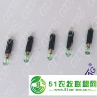 1.4*8mm動物芯片標(biāo)簽，種魚PIT標(biāo)記,魚類植入芯片,防止近親繁殖,優(yōu)化基因