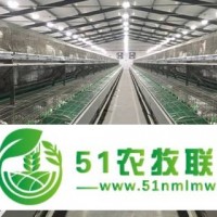 涿鹿縣下疃豐達(dá)兔業(yè)養(yǎng)殖*合作社可長(zhǎng)期供應(yīng)實(shí)驗(yàn)兔