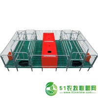 雙體位母豬產(chǎn)床 豬用產(chǎn)床 畜牧設(shè)備母豬產(chǎn)床 養(yǎng)豬產(chǎn)床 單體母豬產(chǎn)床