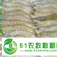 對蝦養(yǎng)殖怎么樣對蝦養(yǎng)殖賺錢嗎？