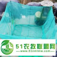 大連 網(wǎng)箱