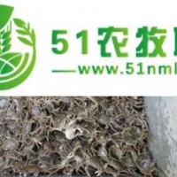 盤錦錦蟹農(nóng)莊河蟹蟹苗扣蟹批發(fā)提供養(yǎng)殖技術