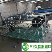 單體雙體母豬產(chǎn)床設(shè)備制造商生產(chǎn)廠家