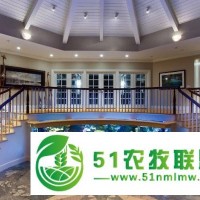 ，廣州珠江新城賣魚缸，廣州海珠區(qū)訂做魚缸
