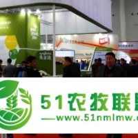 2018濟南*名鴿展覽會