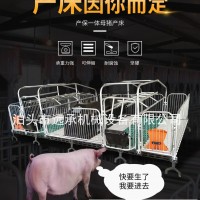 遠承設備母豬產床