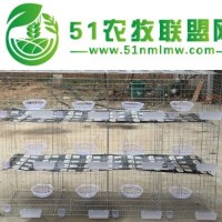 廠家出售鴿籠提供組裝鍍鋅絲網鴿籠規(guī)格齊全