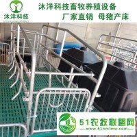 母豬產(chǎn)床復(fù)合板雙體母豬產(chǎn)床母豬產(chǎn)保一體產(chǎn)床定位欄養(yǎng)豬設(shè)備