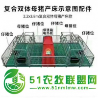 新型母豬產(chǎn)床，復(fù)合母豬產(chǎn)床，豬廠用小豬保育箱，母豬限位欄