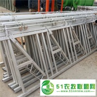 牛場安裝6米8位牛頸枷圖片 恒力自鎖式牛頸夾生產(chǎn)工藝圖 牛場基礎設備牛頸枷廠家