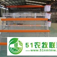億澤a型階梯式熱鍍鋅蛋雞籠批發(fā)價(jià)格
