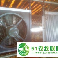 路豐養(yǎng)殖鍋爐大量減價(jià)