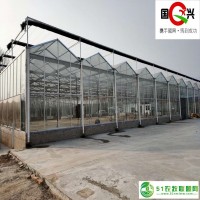 智能連棟玻璃溫室設(shè)計 國興廠家** 質(zhì)量**
