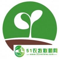 長(zhǎng)春花-勇士種子 抗病性*好 進(jìn)口品種 阿陌園藝 福建廈門