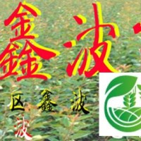 山東泰安櫻花訂購電話