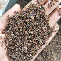 廣西南寧大花金雞菊花卉種子打造花?；ǚN