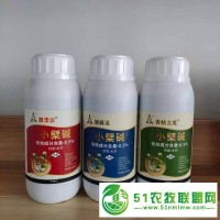 草莓?dāng)囝^病堪稱(chēng)草莓癌癥如何**斷頭病也叫細(xì)菌性角斑病