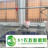 德州賀富豬仔保育床**中