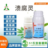 **核桃潰瘍病中草藥制劑殺菌劑潰腐靈廠家**