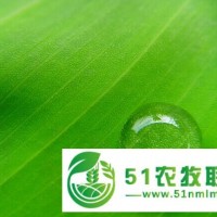 果樹(shù)*農(nóng)藥增效配方