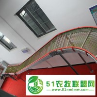 熱鍍鋅雞籠生產(chǎn)廠家-五蓮昌泰機械-熱鍍鋅雞籠
