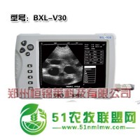 獸用B超機(jī)廠家報價