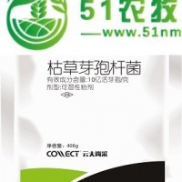 青枯病怎么能治好 青枯病較好的**方法美盛萎控