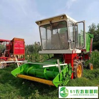 多功能玉米秸稈青儲收割機 大型皇竹草收割粉碎機 青儲機廠家
