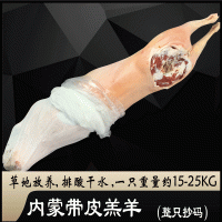 內(nèi)蒙新鮮羔羊白條羊帶皮整羊羊酮體火鍋羊肉煲