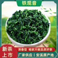 安溪鐵觀音春茶清香型茶葉新茶禮盒裝福建原味正味高山烏龍茶散裝