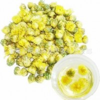 新胎菊王 胎菊批發(fā) 花草茶 桐鄉(xiāng)胎菊量大從優(yōu) 支持混批