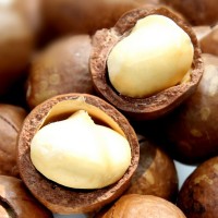 新貨堅(jiān)果 夏威夷果 廠家直銷 炒貨零食批發(fā) 5公斤/箱