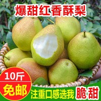 現(xiàn)摘紅香酥梨10斤整箱當(dāng)季新鮮水果批發(fā)脆甜多汁香梨酥梨一件代發(fā)