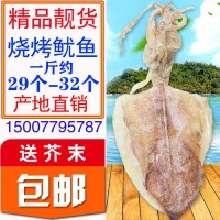 A33蘭北海特產(chǎn)海鮮海捕燒烤淡曬手撕魷魚干貨須仔足片定價(jià)半斤