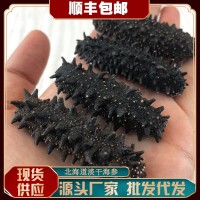 工廠貨源量大價(jià)優(yōu) 日本關(guān)東紅參干貨批發(fā)500g 關(guān)東淡干海參禮盒