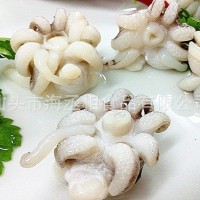 拍花墨仔頭 墨仔頭 八爪魚 海菊花 海龍爪宴席食材墨魚仔貼牌代工
