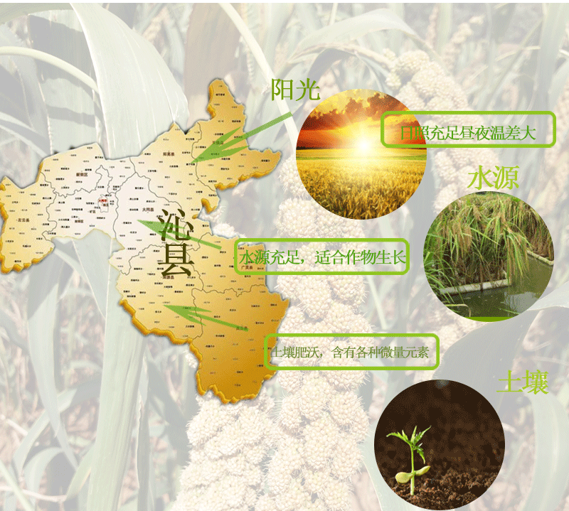 小米詳情_03