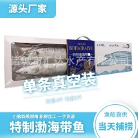 野生渤海帶魚 單條真空裝 特制帶魚 肉厚 8-9條 5斤/件 凈重4斤