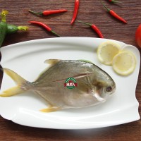 漁匠人鹽鮮速凍金鯧魚 香煎金鯧魚 清蒸金鯧魚 解凍即煮免切免洗