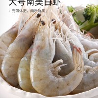 舟山廠家供應南美白蝦 凍蝦大蝦冷凍海鮮大白蝦