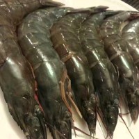 批發(fā)泰國(guó)活蝦海上直凍 南美大白蝦每盒3斤 新鮮水產(chǎn)海鮮大蝦