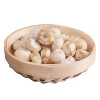 珍珠馬蹄品鮮椰子雞配料香糯小馬蹄陽(yáng)江特產(chǎn)產(chǎn)地直發(fā)常年穩(wěn)定供應(yīng)