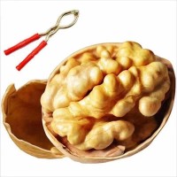 廠家直銷 批發(fā)阿克蘇紙皮核桃薄皮核桃 原味生核桃 一件代發(fā)包郵