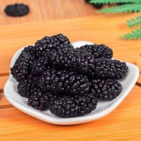 2021年新貨桑葚干新疆無沙不用洗桑葚干泡茶煮粥黑桑葚