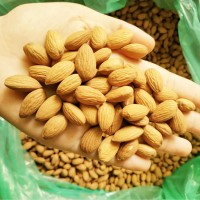 新貨原味巴旦木仁扁桃仁美國大杏仁500g散裝批發(fā)每日堅果干果炒貨